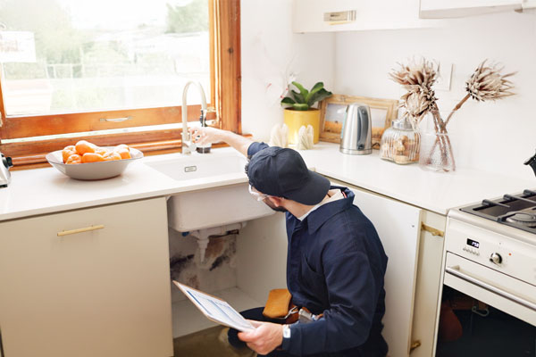 Plumber inspecting a leaking drain pipe under a kitchen sink.
